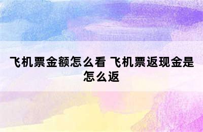 飞机票金额怎么看 飞机票返现金是怎么返